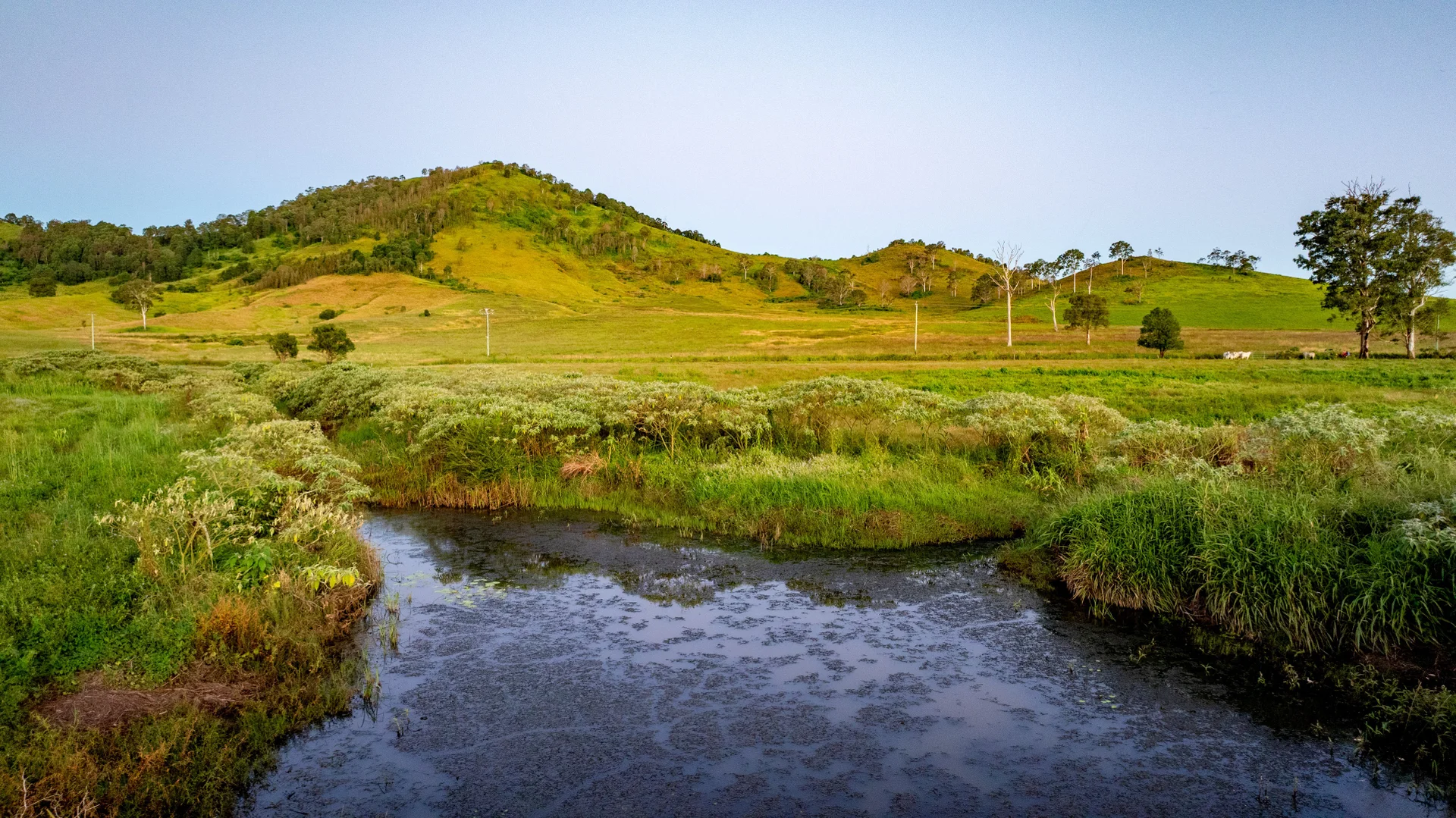 Additional image 29 of 189 (Lot 33) Eastern Mary River Road, Conondale QLD 4552