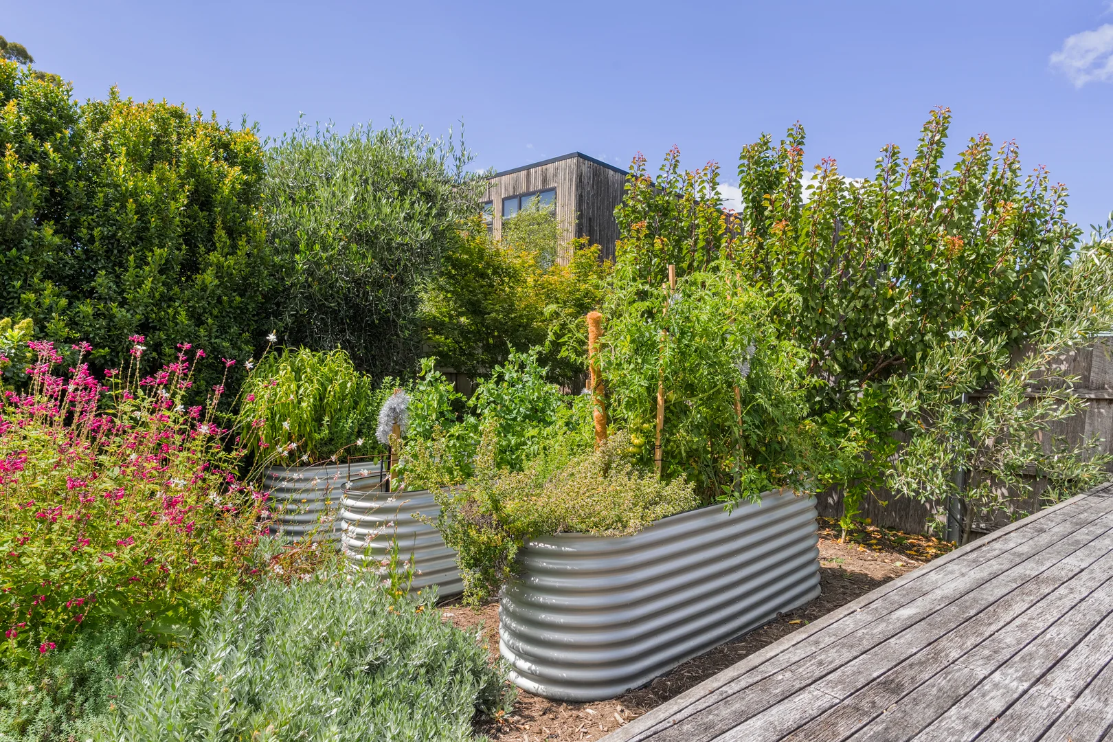 Additional image 25 of 21 Parliament Street, Sandy Bay TAS 7005