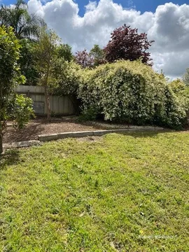 Additional image 8 of 9 McLeod Street, Kojonup WA 6395