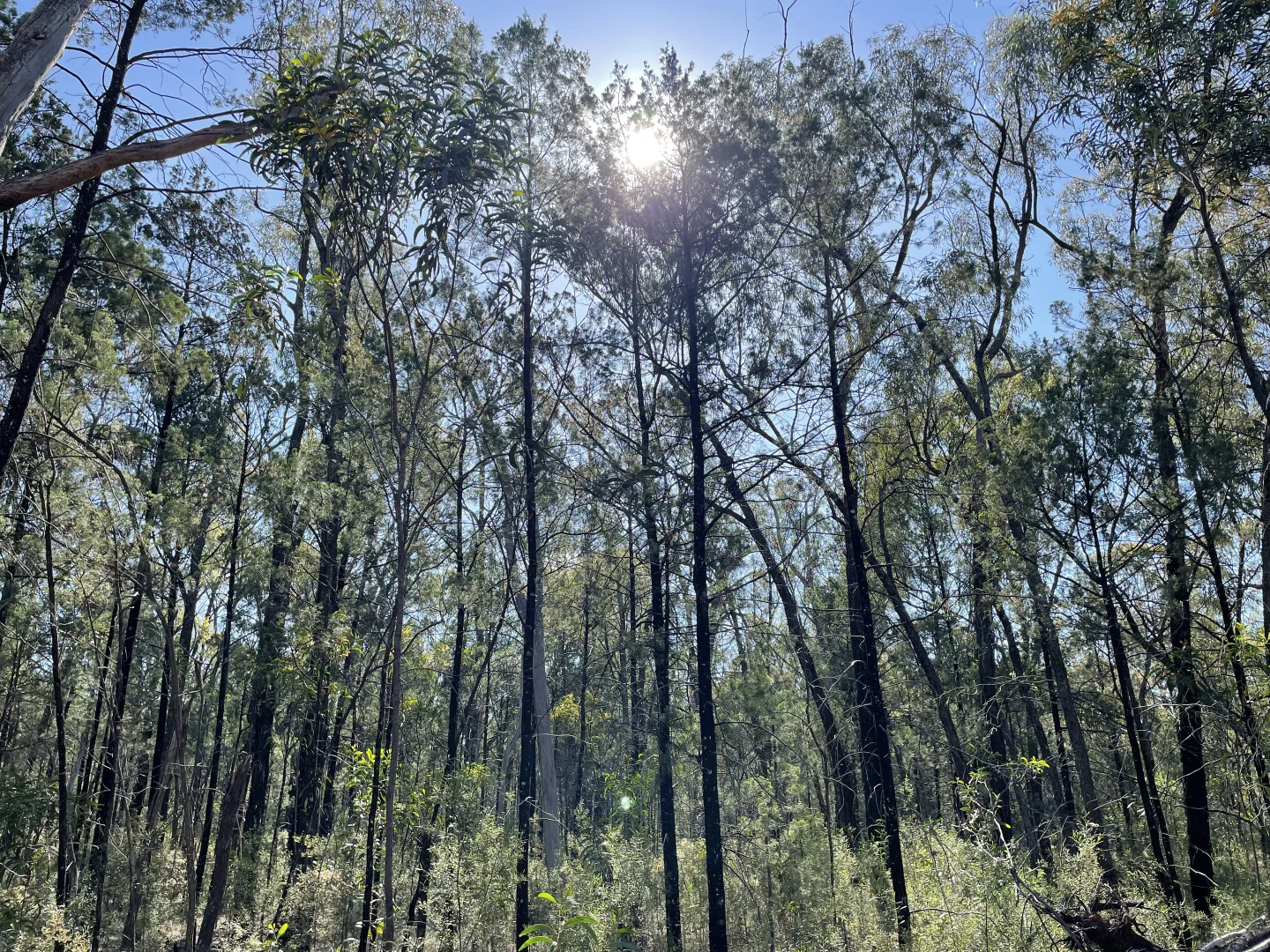 Additional image 7 of 921 Westport Rd, Narrabri NSW 2390