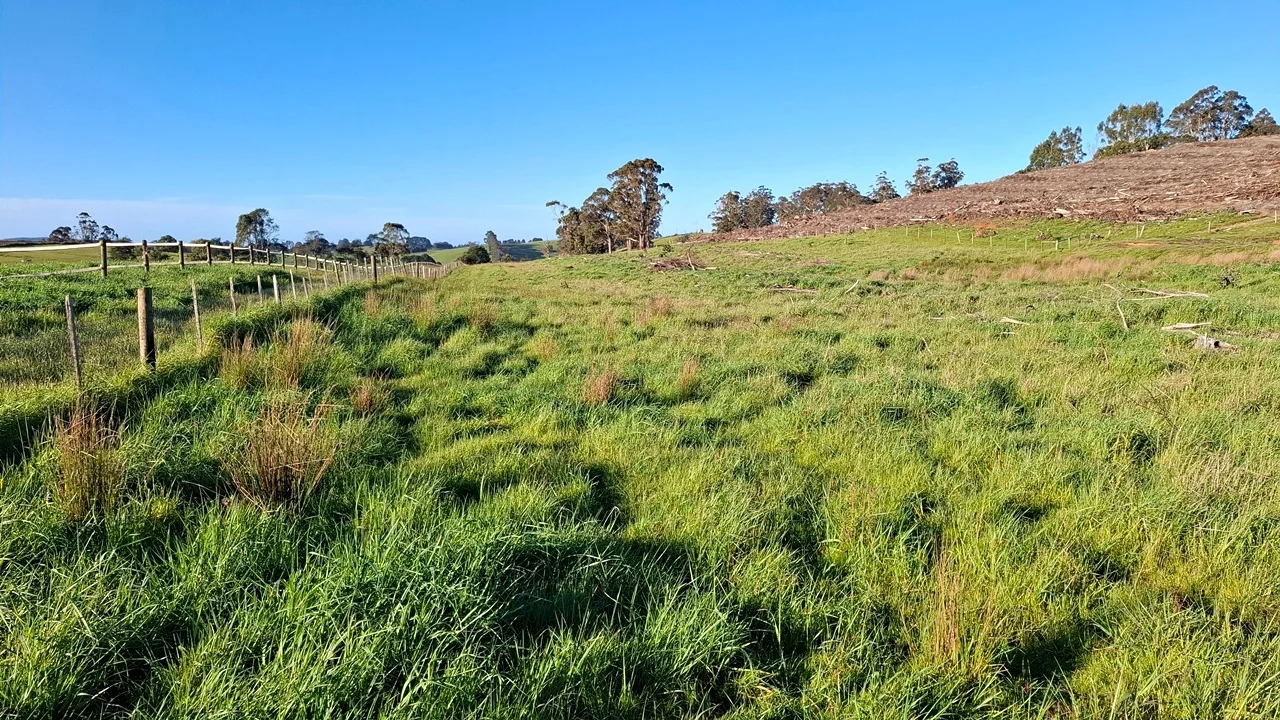 Additional image 32 of 108 Weeks Road, Barrington TAS 7306