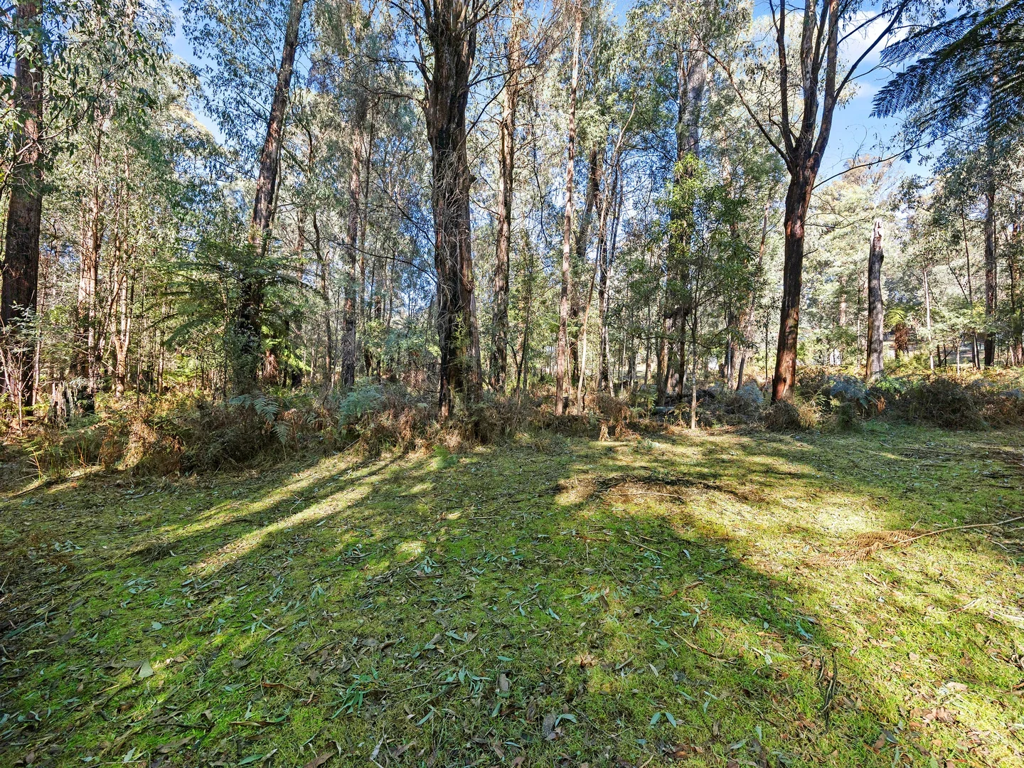 Additional image 16 of 1-3 Lady Talbot Drive, Marysville VIC 3779
