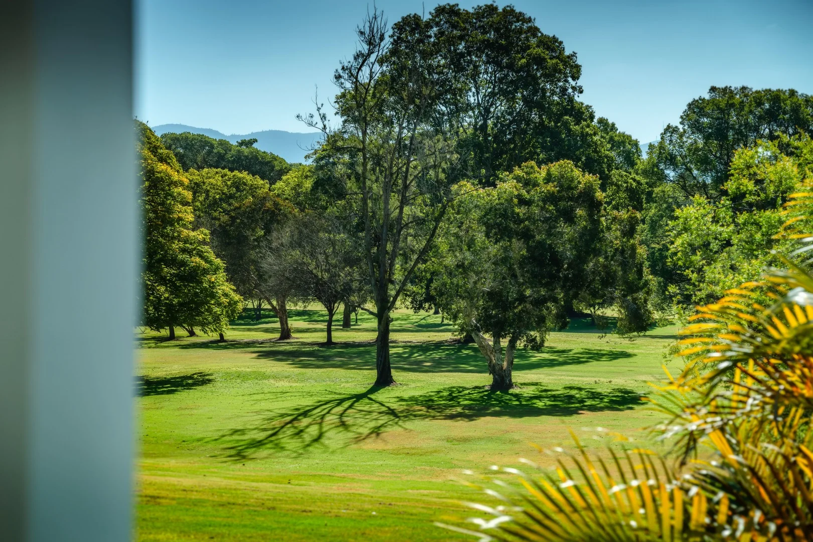 Additional image 27 of 1117 Waterfall Way, Bellingen NSW 2454