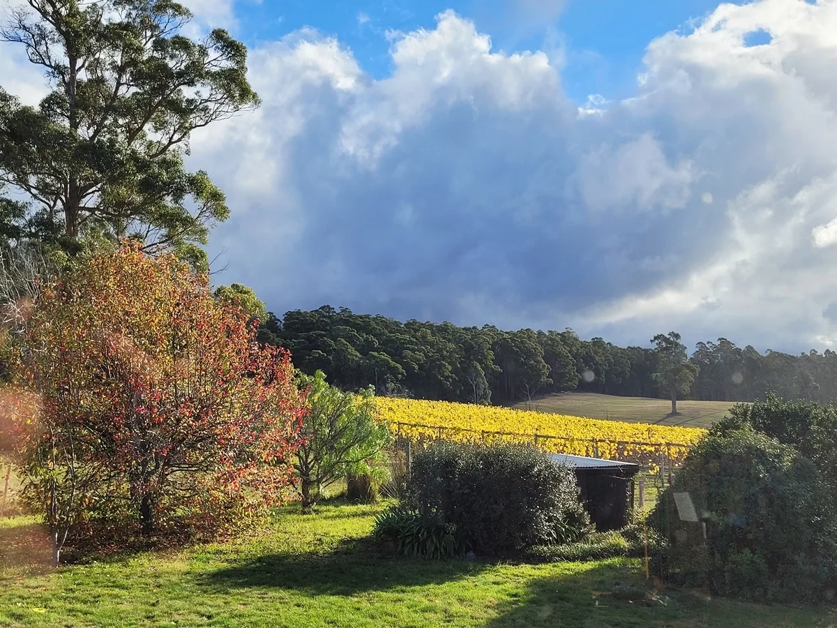 Additional image 30 of 150 Hjorts Road, Loira TAS 7275