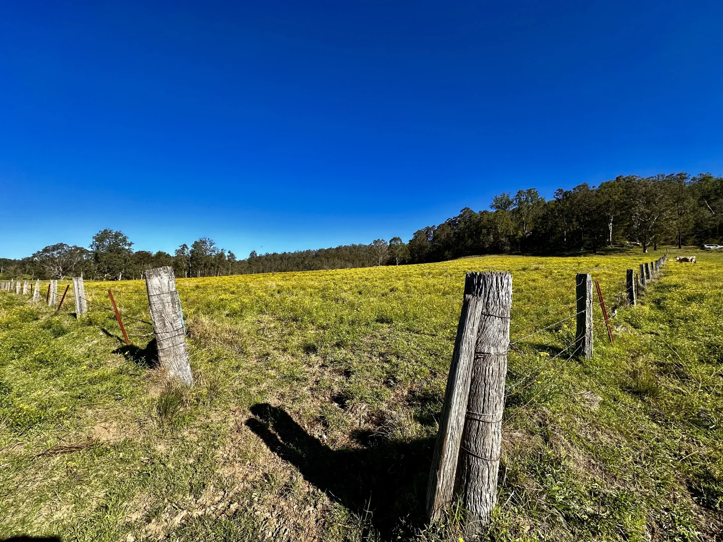 Additional image 18 of 3300 Great North Road, Wollombi NSW 2325