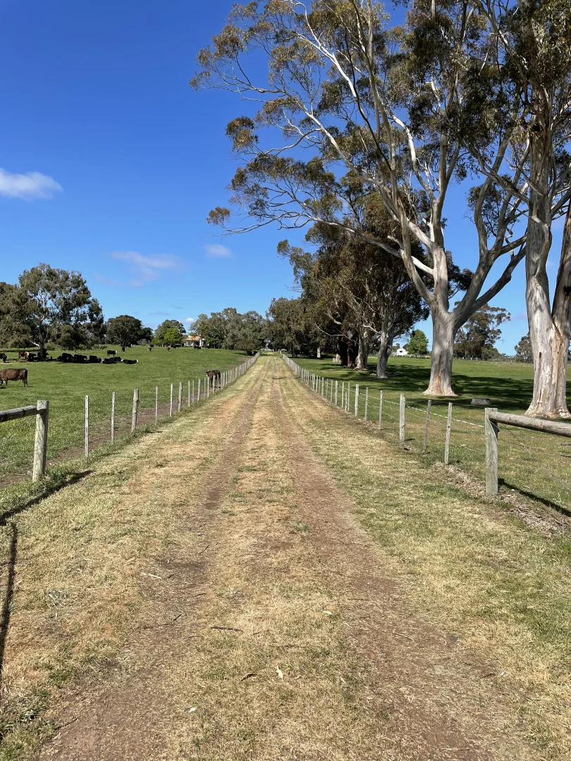 Additional image 18 of 138 McConachys Road, Henty VIC 3312