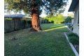 Additional image 9 of 2228 W Benjamin Holt Dr, Stockton, CA, 95207
