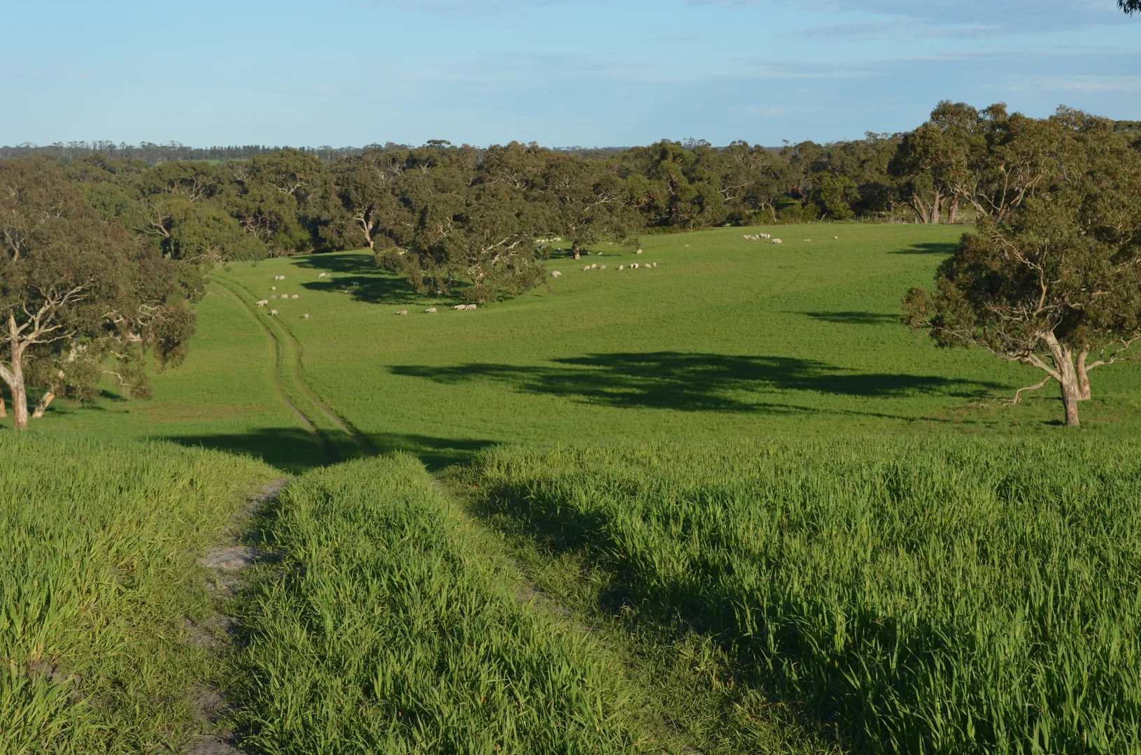 Additional image 7 of Lot 296 Beggs Road, Avenue Range SA 5273