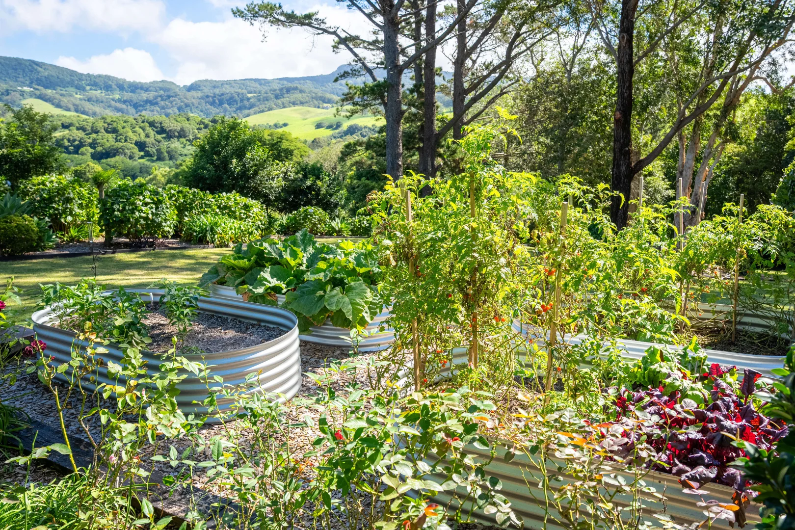 Additional image 24 of 215 Jerrara Road, Jerrara NSW 2533