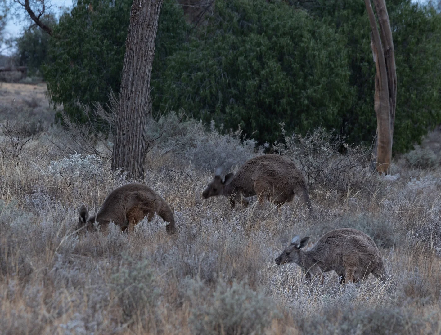 Additional image 16 of 189 Coyles Road, Wodonga VIC 3690