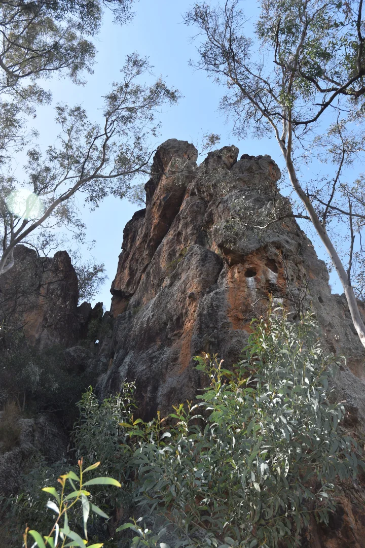 Additional image 24 of 1124 WARKTON ROAD, Coonabarabran NSW 2357