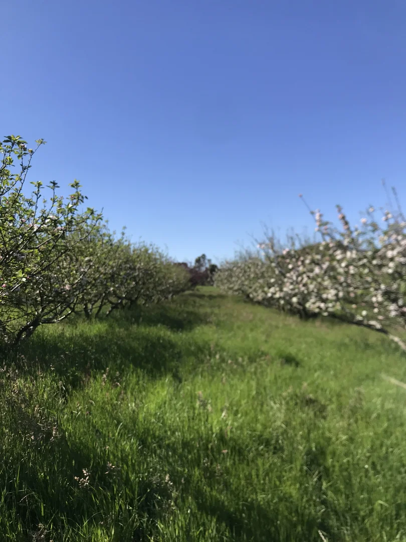 Additional image 22 of 90 Bischoffs Road, Pegarah TAS 7256