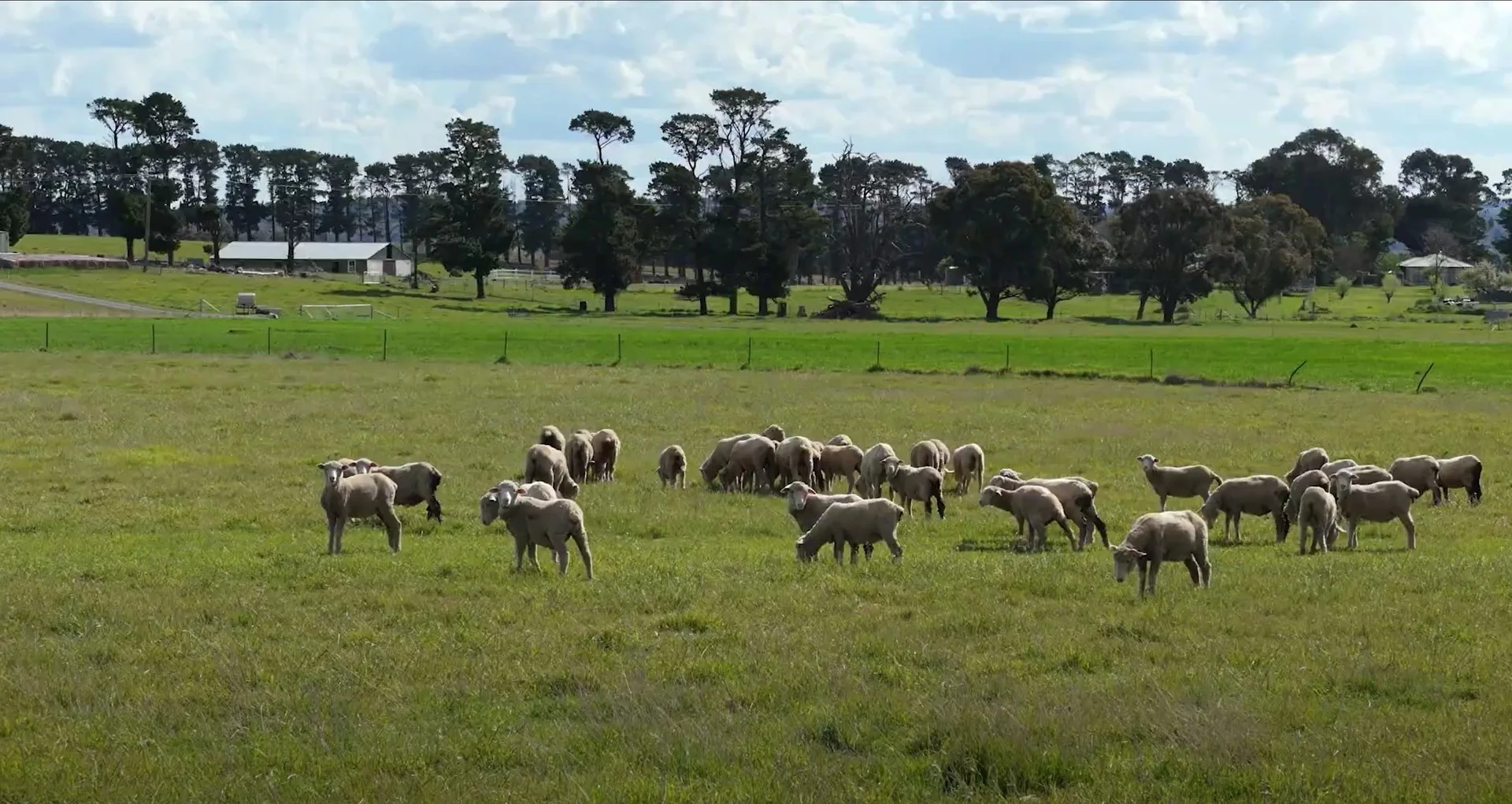 Additional image 2 of 48 Mcleods Creek Drive, Gundaroo NSW 2620