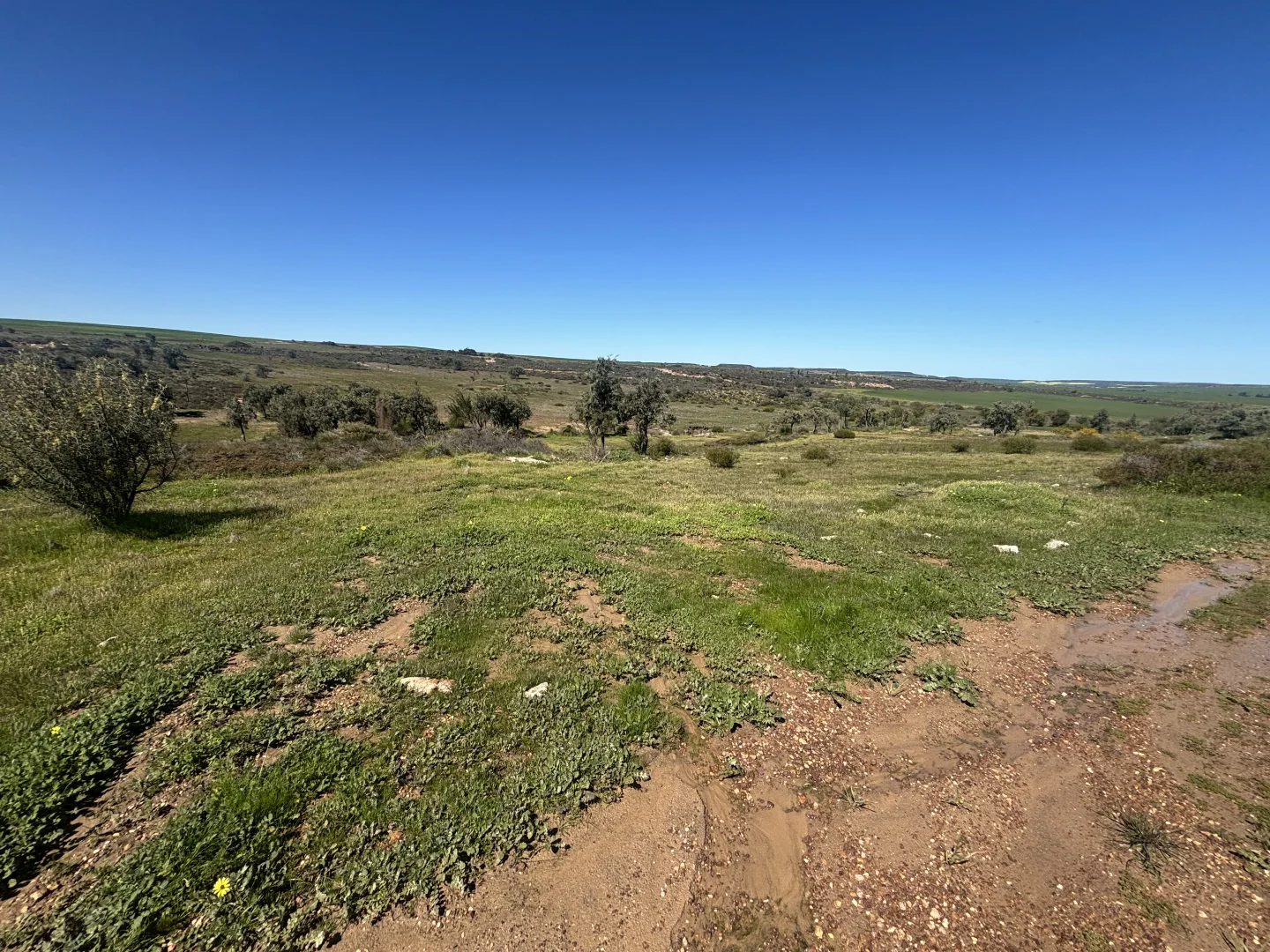 Additional image 11 of Lot 55 Ahern Place, Hickety WA 6532