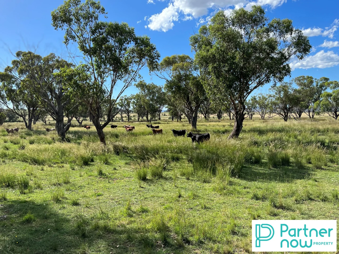 Additional image 6 of 205 Gidley-Appleby Road, Tamworth NSW 2340