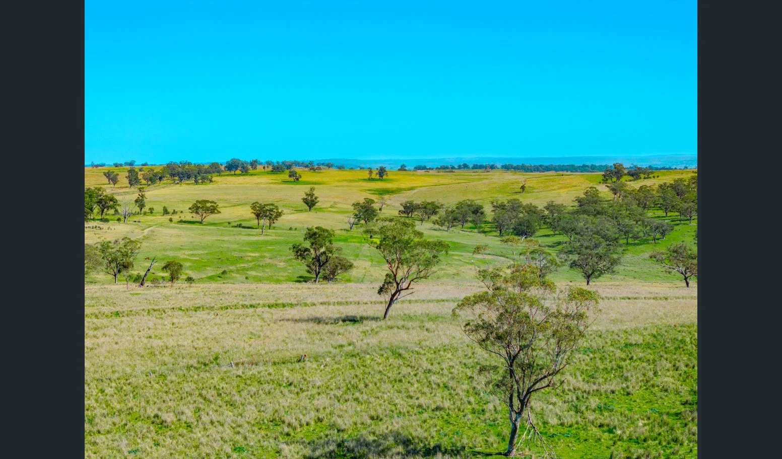 Additional image 5 of Flaggs Road, Merriwa NSW 2329