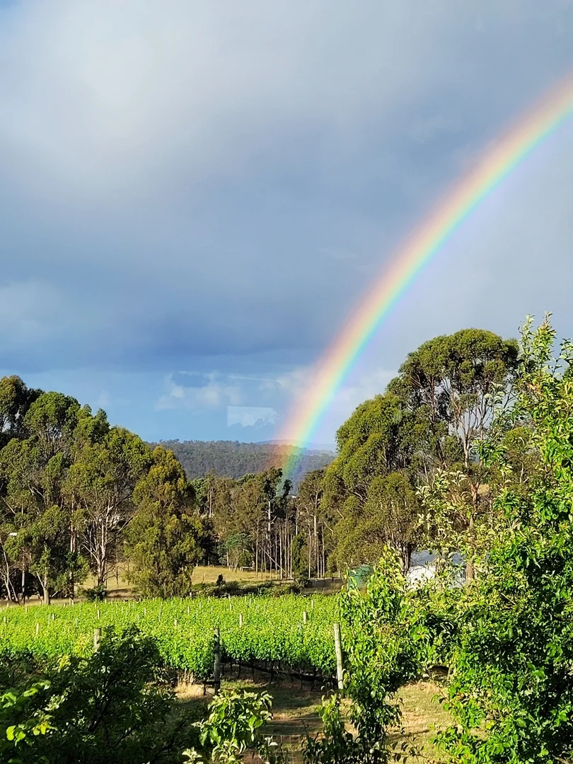 Additional image 32 of 150 Hjorts Road, Loira TAS 7275