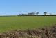 Additional image 65 of Ponthirwaun, Cardigan, SA43