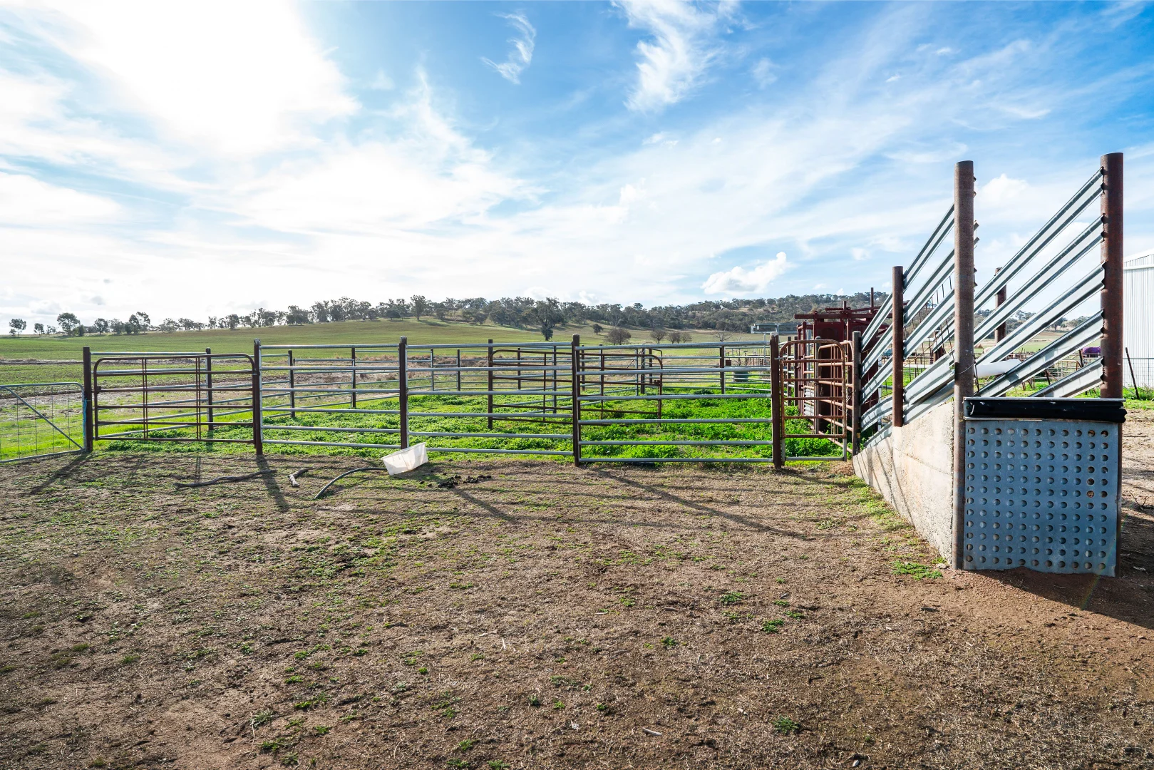 Additional image 12 of 413 Reynella Road, Walbundrie NSW 2642