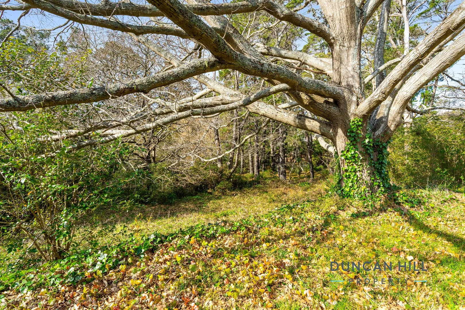 Additional image 4 of 47 Burradoo Road, Burradoo NSW 2576