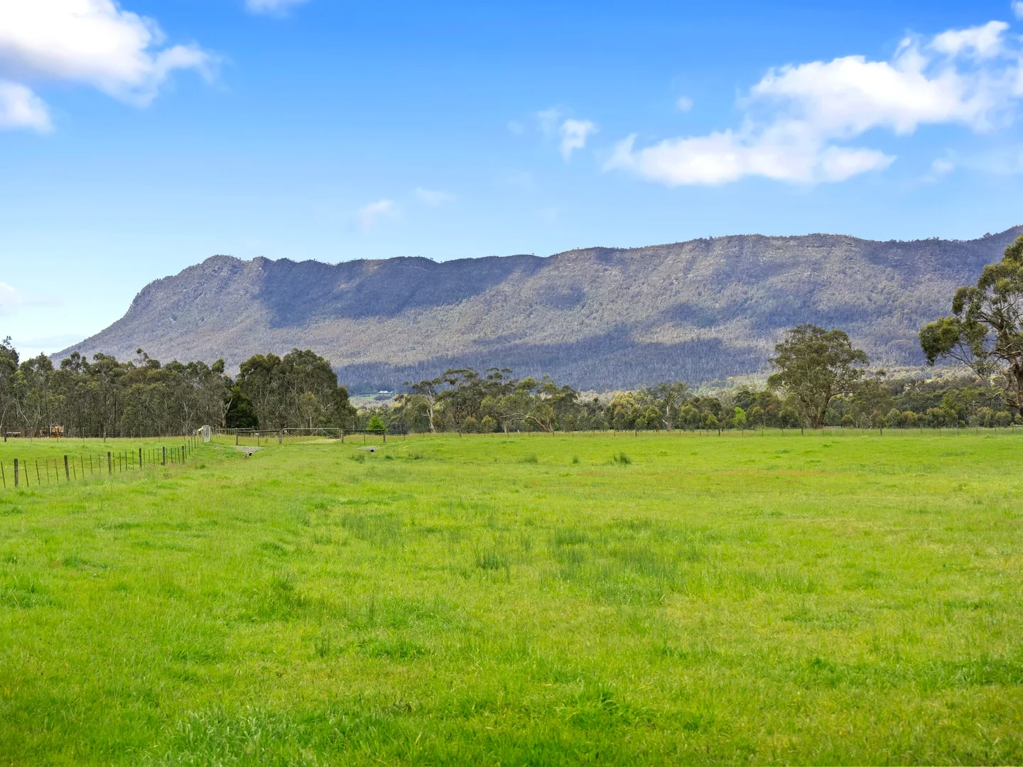 Additional image 3 of 2339 Maroondah Highway, Buxton VIC 3711