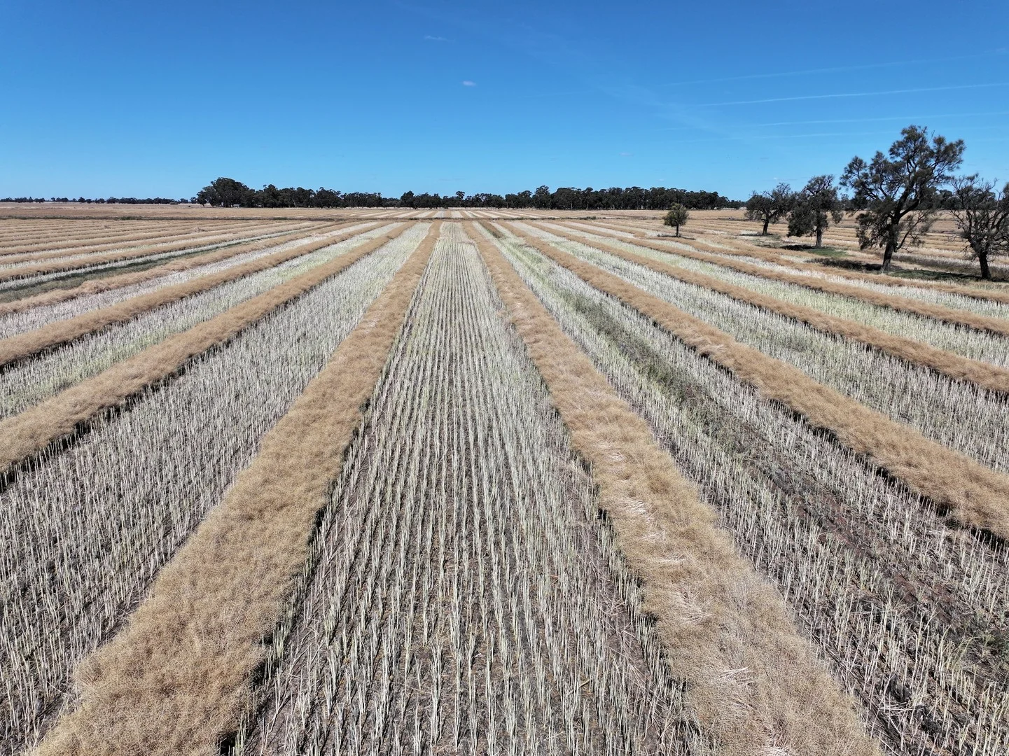 819 Mayrung Road, Deniliquin NSW 2710