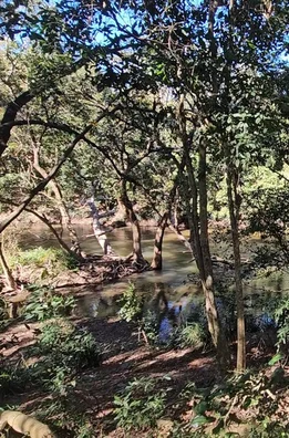 Additional image 4 of 158 Hodzic Rd, Biboohra QLD 4880