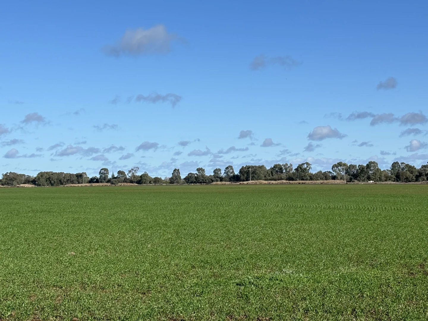 Additional image 4 of ( Davit Farm ) Cashmere Road, Widgelli NSW 2680