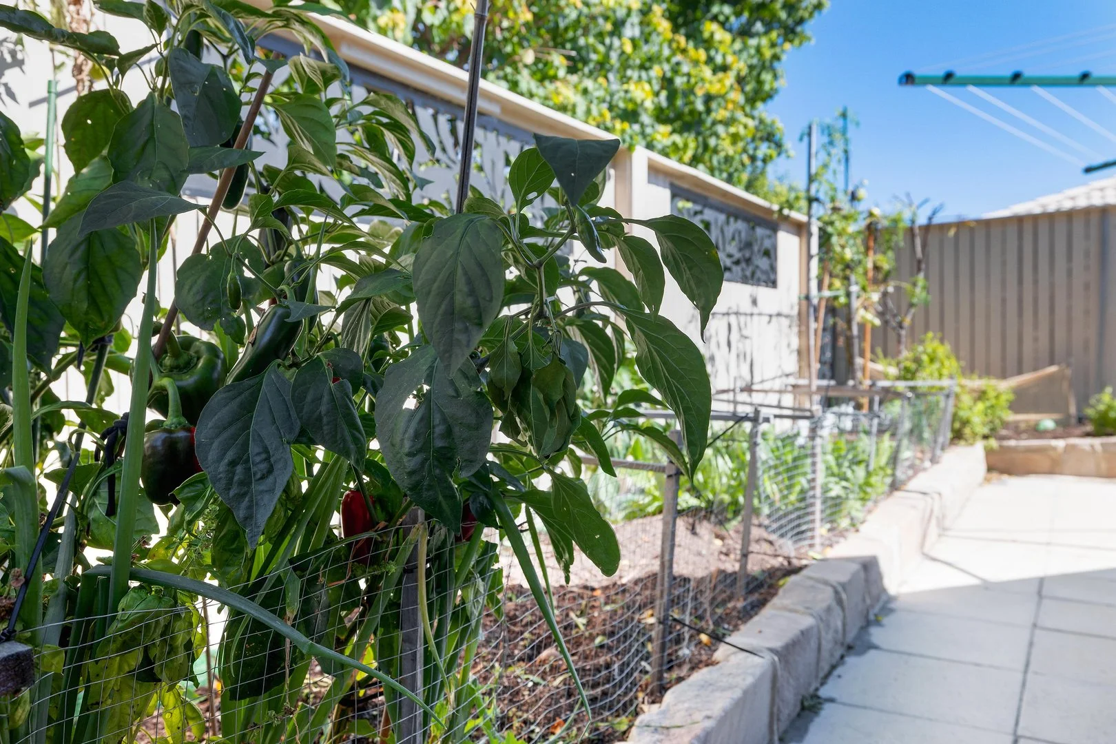 Additional image 22 of 188 Mabo Boulevard, Bonner ACT 2914