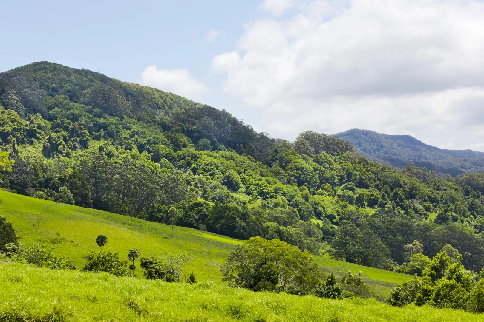 Additional image 15 of 'DJAWULA' Lot 2022 Wilsons Road, Saddleback Mountain NSW 2533