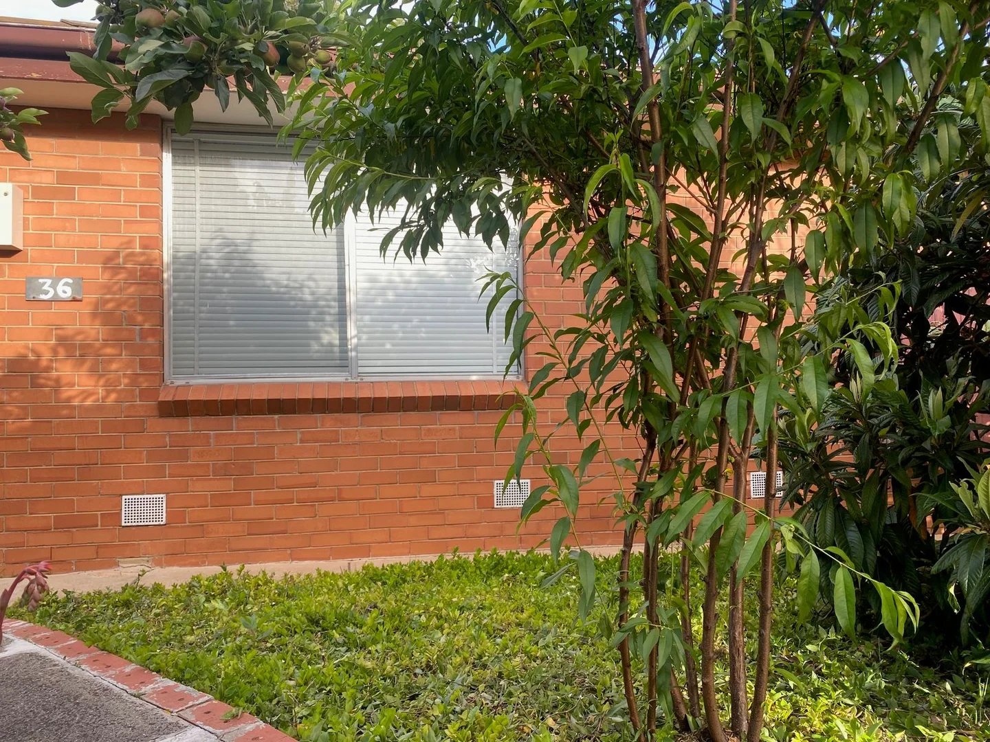 Additional image 48 of 36 Jamieson Street, St Albans VIC 3021