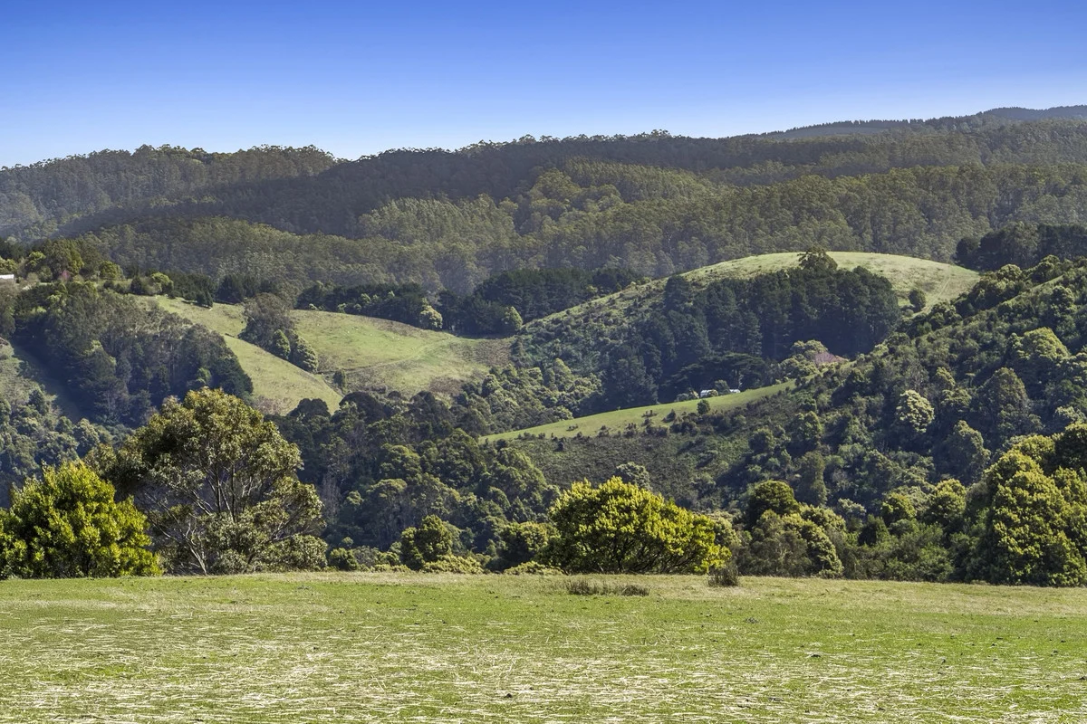 Additional image 15 of 675 Skenes Creek Road, Skenes Creek North VIC 3233