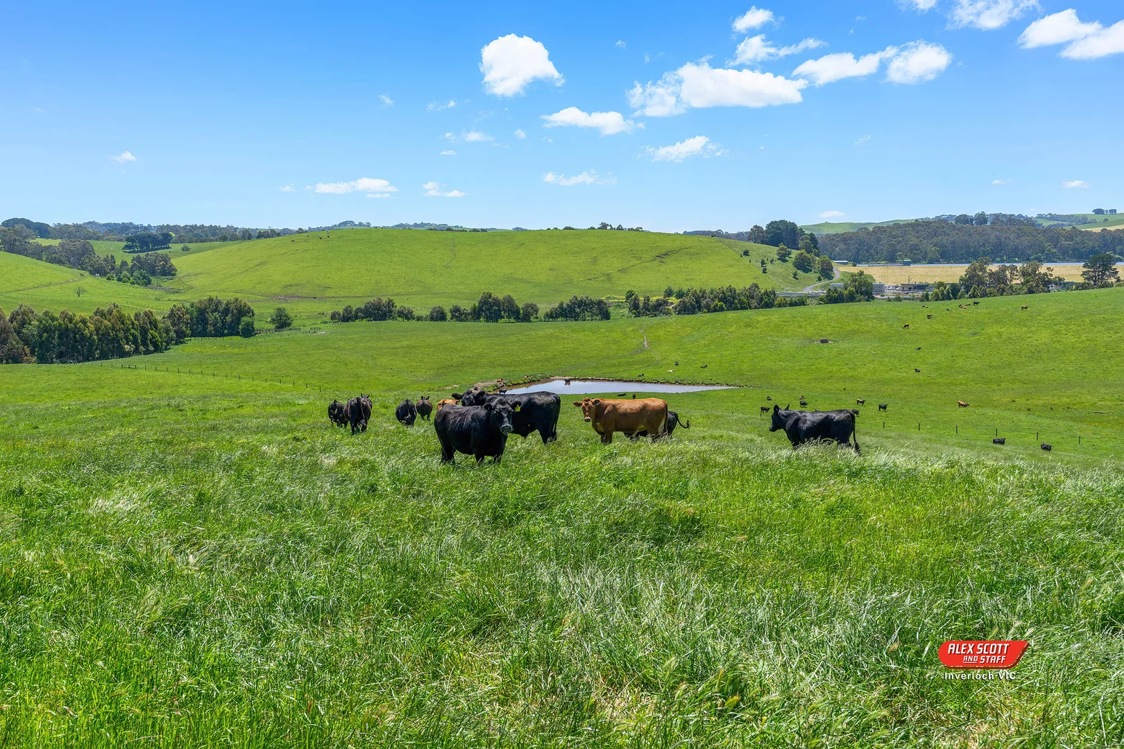 Additional image 12 of Lot 2 Kongwak Road, Glen Alvie VIC 3979