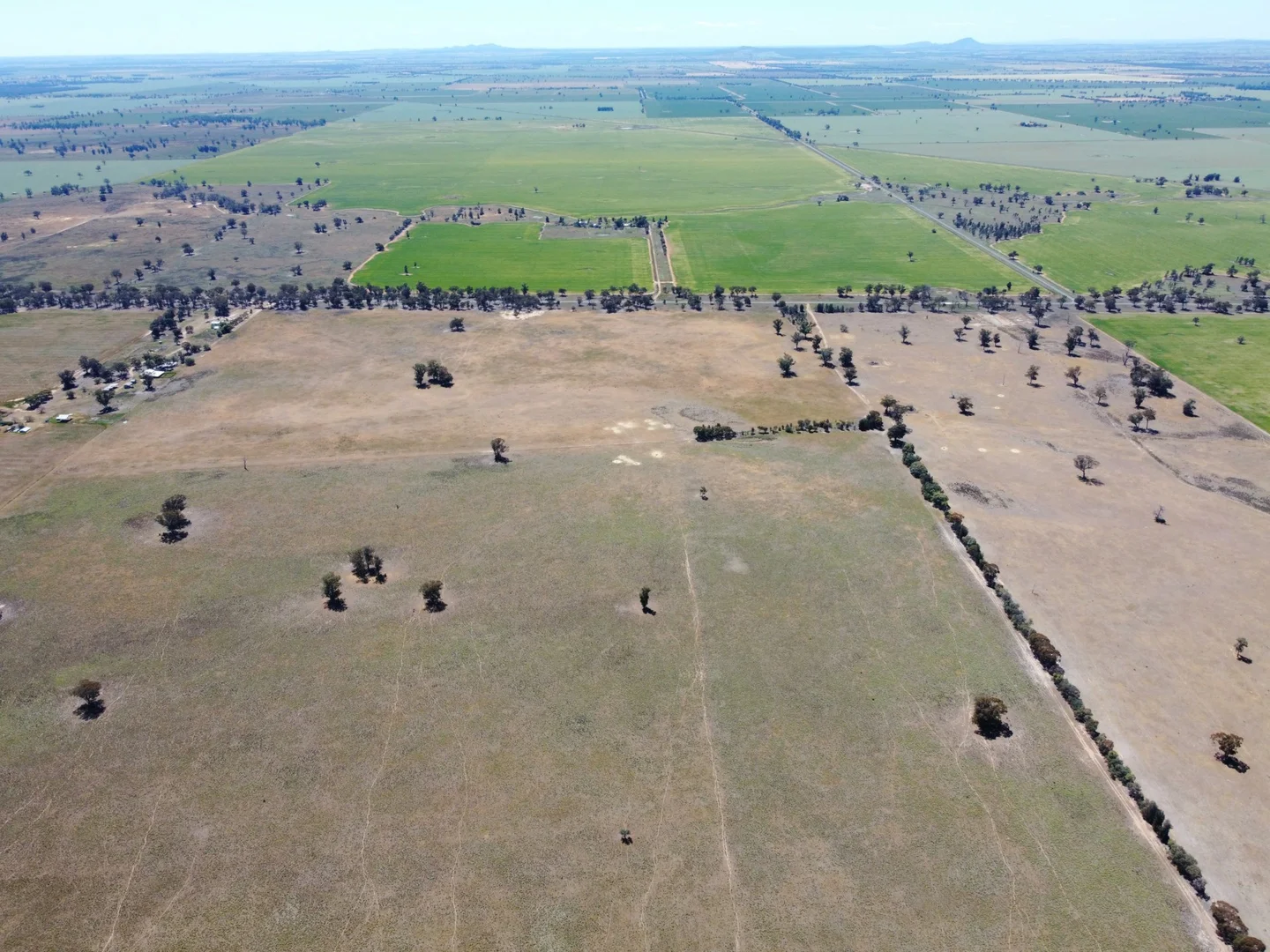 Additional image 6 of 1539 Bland Road, Quandialla NSW 2721