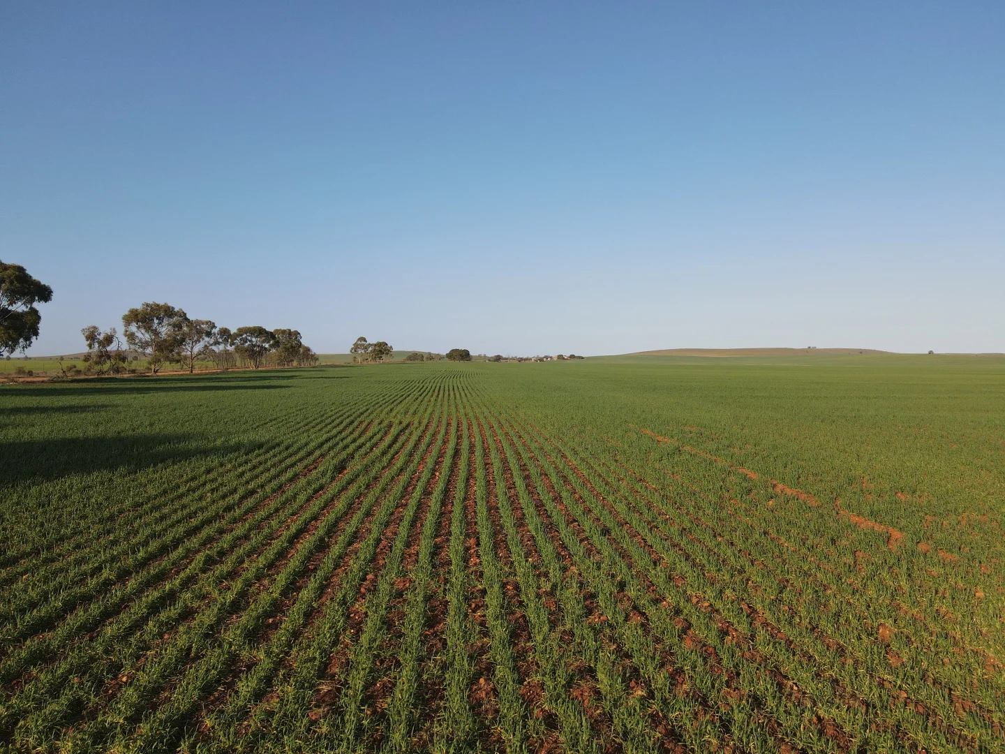 Additional image 2 of 222 Nicholls Rd, Booleroo Centre SA 5482