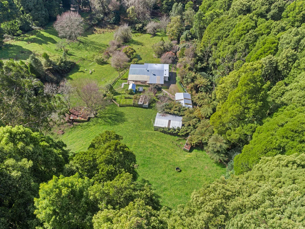 775 Barham River Road, Apollo Bay VIC 3233