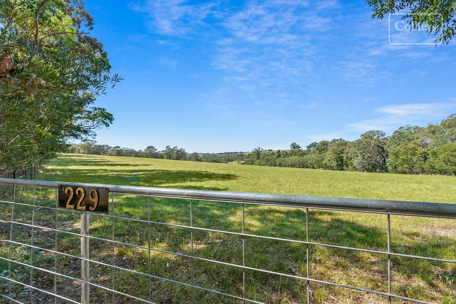 Additional image 2 of 227-229 Little Forest, Little Forest NSW 2538