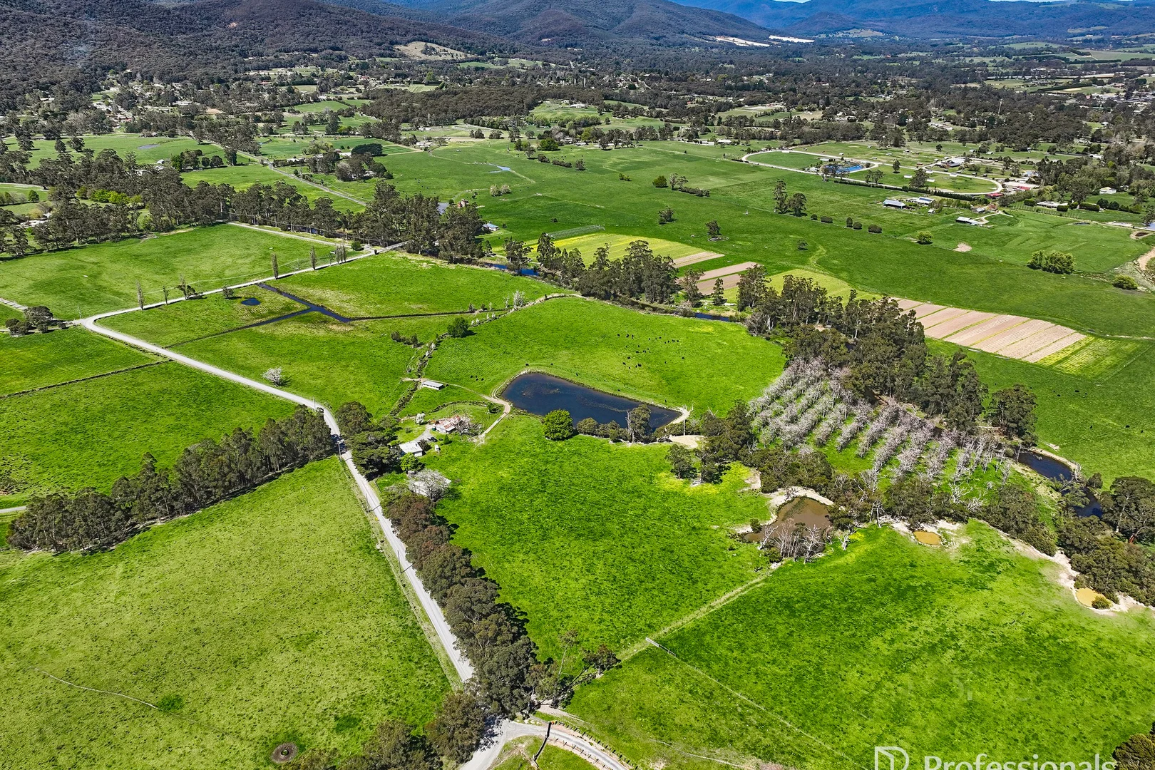 Additional image 30 of 230 Station Road, Wesburn VIC 3799