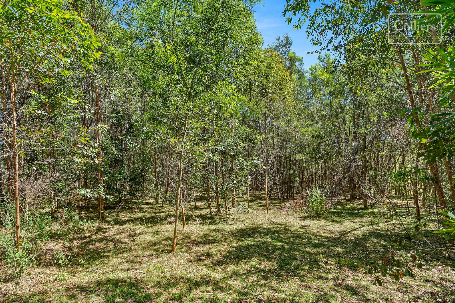 Additional image 10 of 227-229 Little Forest, Little Forest NSW 2538
