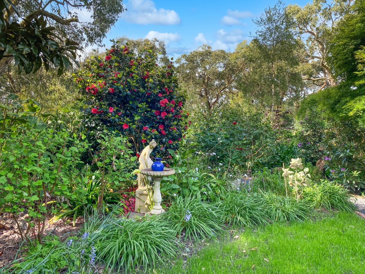 Additional image 18 of 160 Soldiers Road, Fish Creek VIC 3959