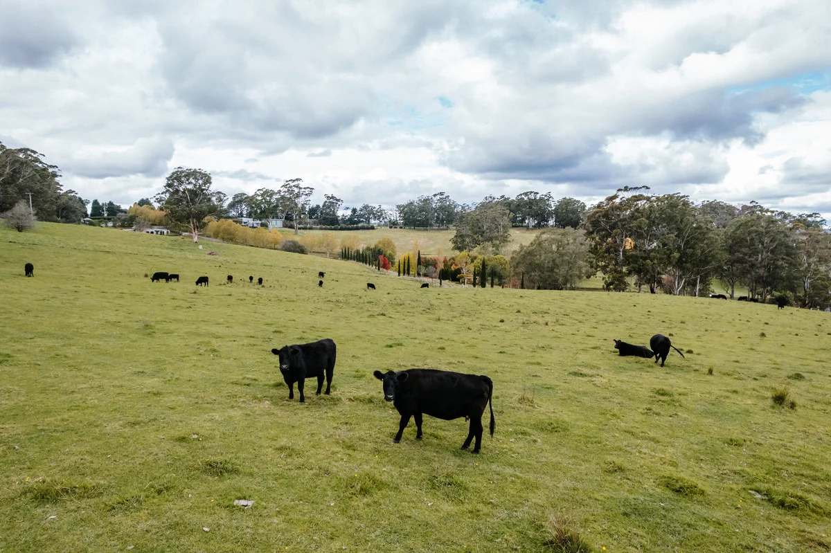 Additional image 50 of 562 Nowra Road, Moss Vale NSW 2577