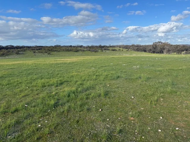 Additional image 11 of 33C Appleby Road, Slaty Creek VIC 3477