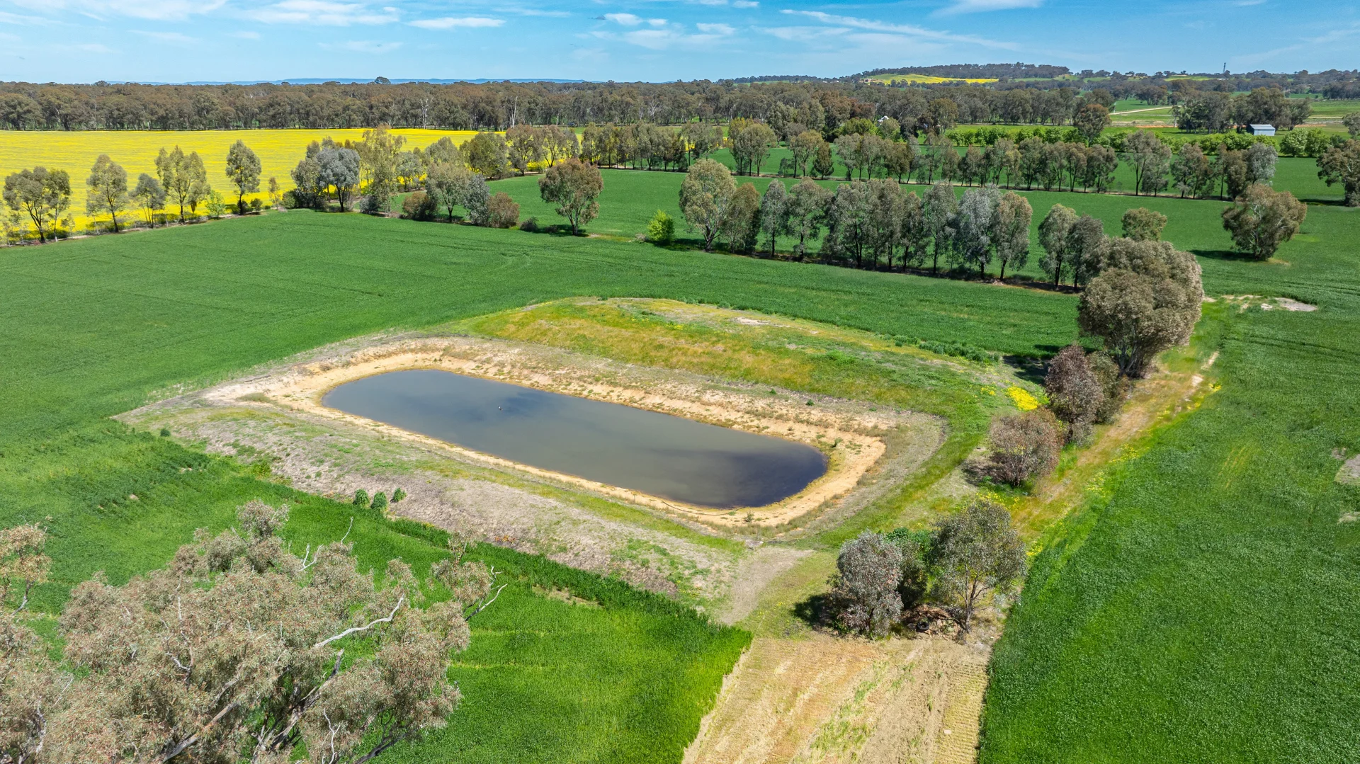 Additional image 19 of 106 Cornishtown Road, Rutherglen VIC 3685