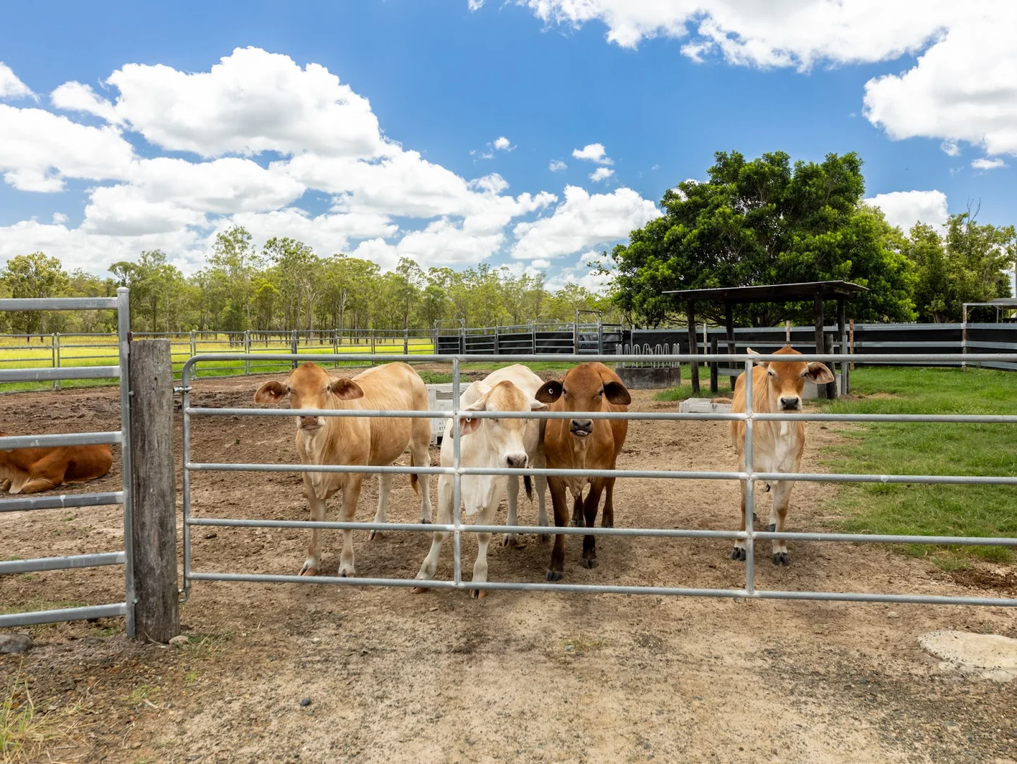 Additional image 32 of South Kolan QLD 4670