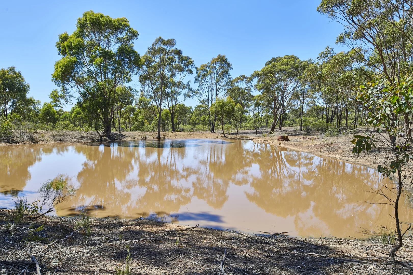Additional image 5 of 234 McKee Lane, Heathcote VIC 3523