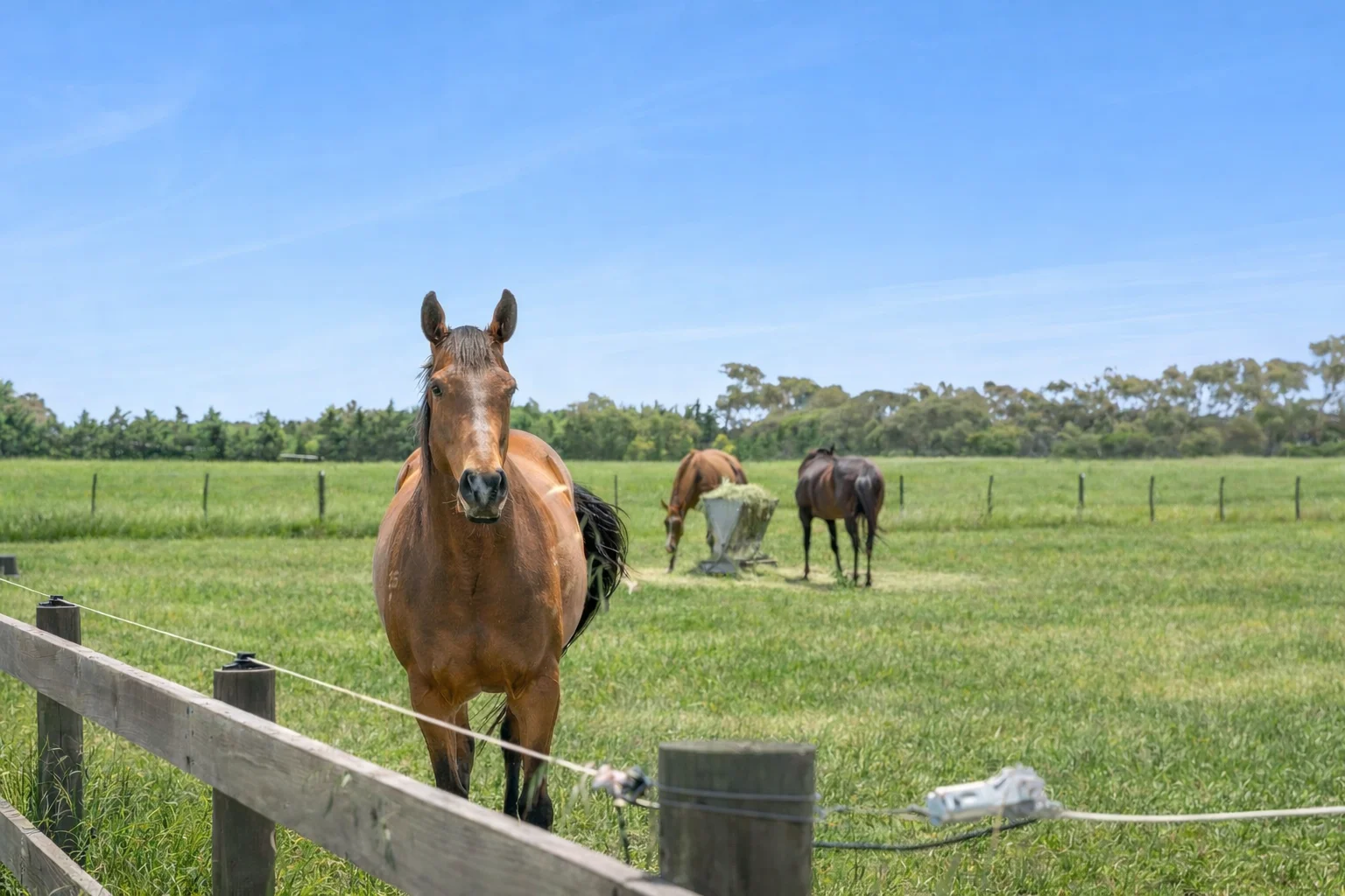 Additional image 8 of 10 Blackrock Road, Connewarre VIC 3227
