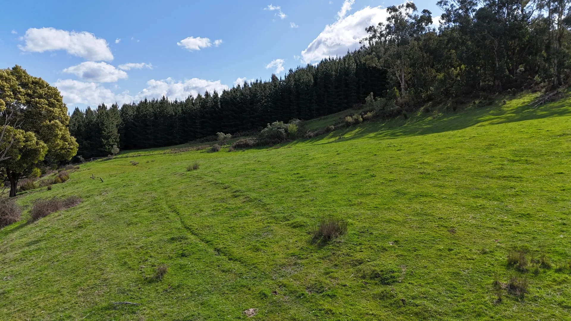 Additional image 5 of 141 BUNDERRA DRIVE, Boolarra VIC 3870