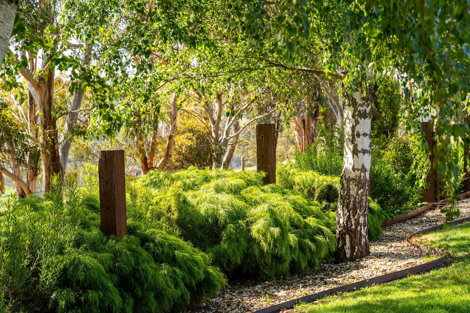 Additional image 18 of 115 Swann Road, Alexandra VIC 3714