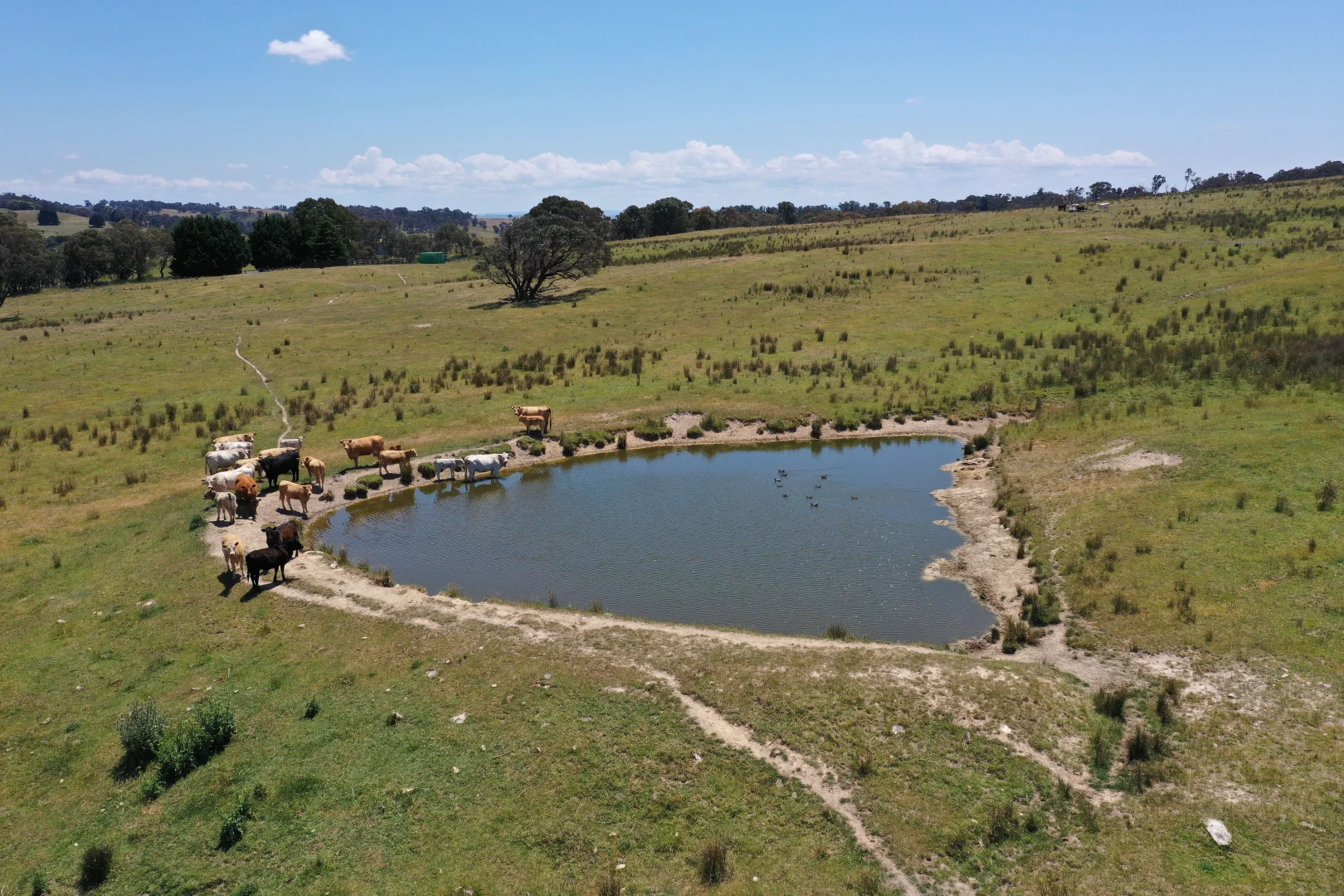 Additional image 6 of Lot 2 Golspie Road, Laggan NSW 2583