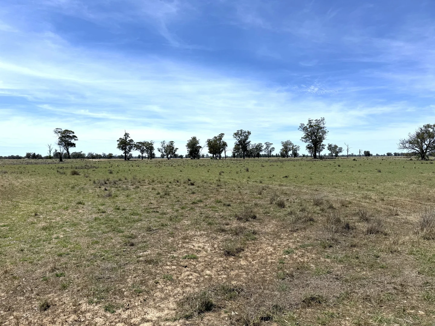 Additional image 11 of 1539 Bland Road, Quandialla NSW 2721